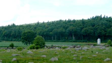 Looking across the pasture and corn fields toward the wooded lots proposed for conservation